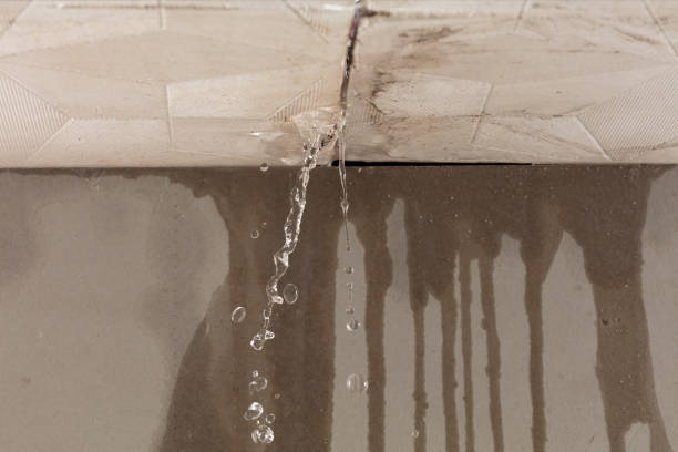 Professional Water Damage Repair technician working in Canyon Lake, TX